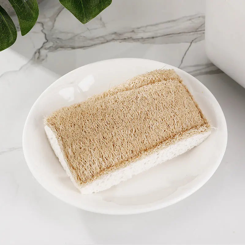 Loofah Dishwashing Sponge - Ecovibes