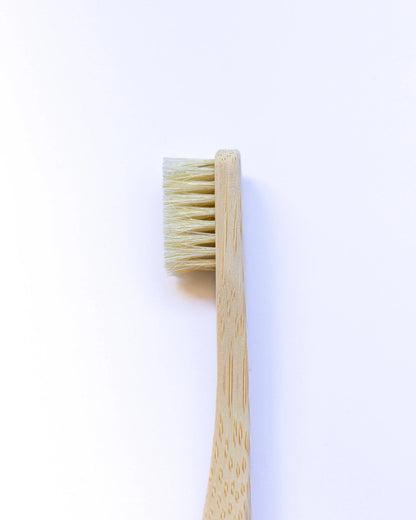Natural Bristles Toothbrush - Ecovibes