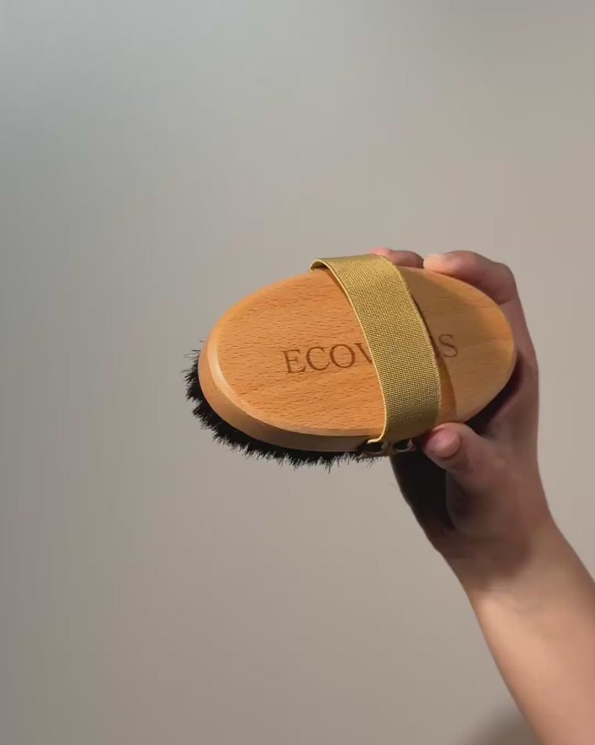 Load video: Body Brush